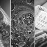 Three ways to look at your arteries: structure, flow, and function.