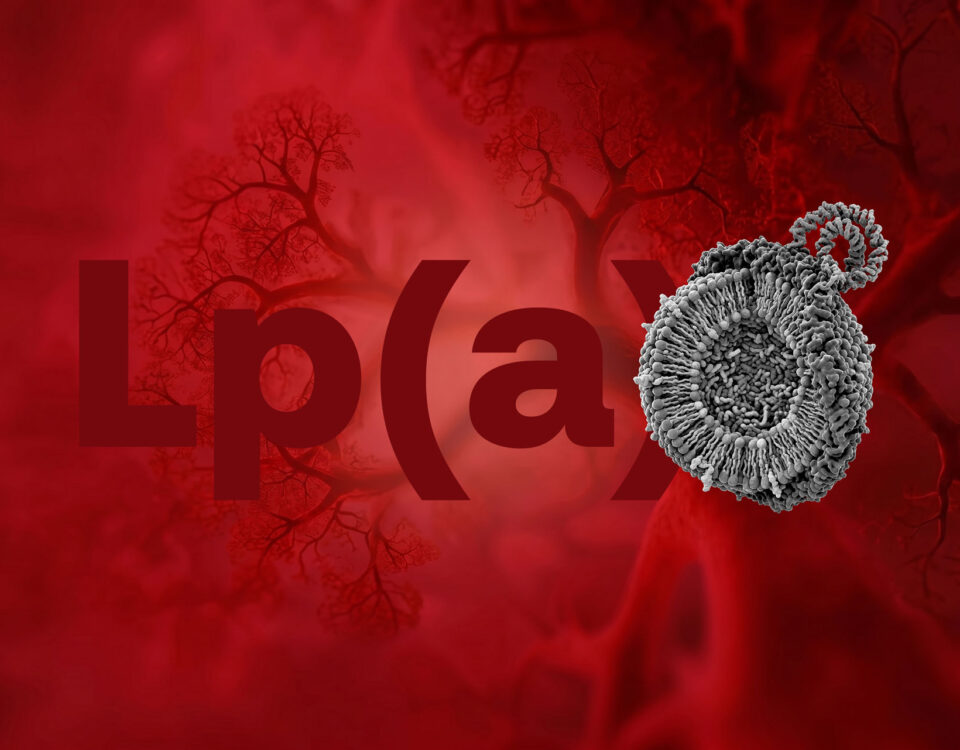 Lp(a) test result