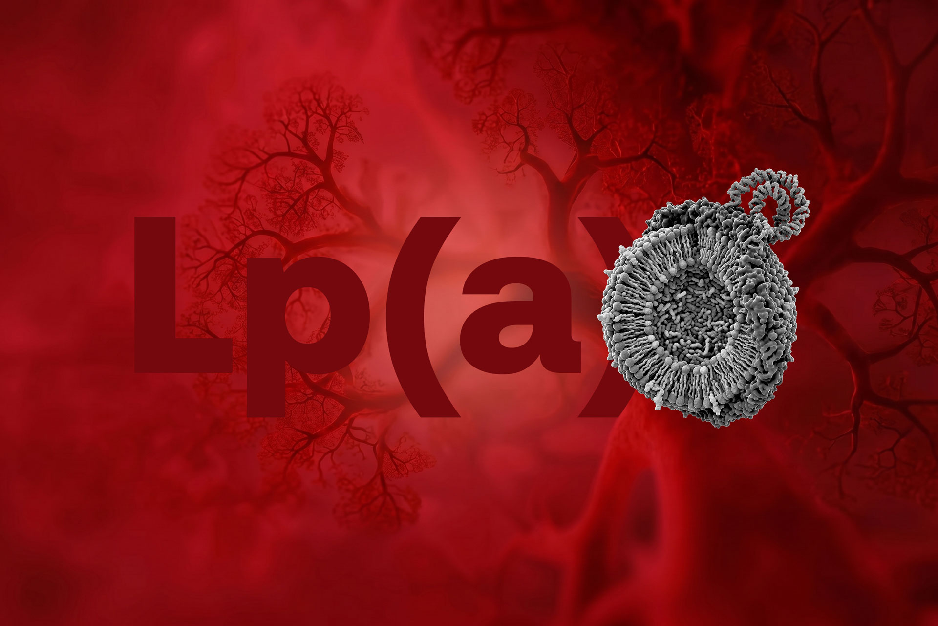 Lp(a) test result