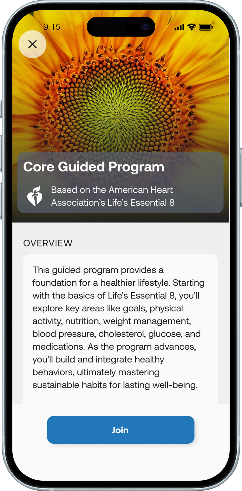 Core Guided Programs