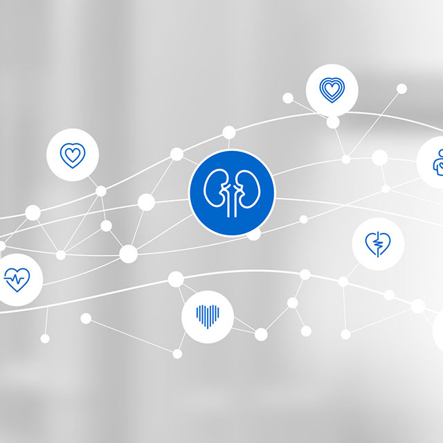 Arterial Stiffness and Renal Function