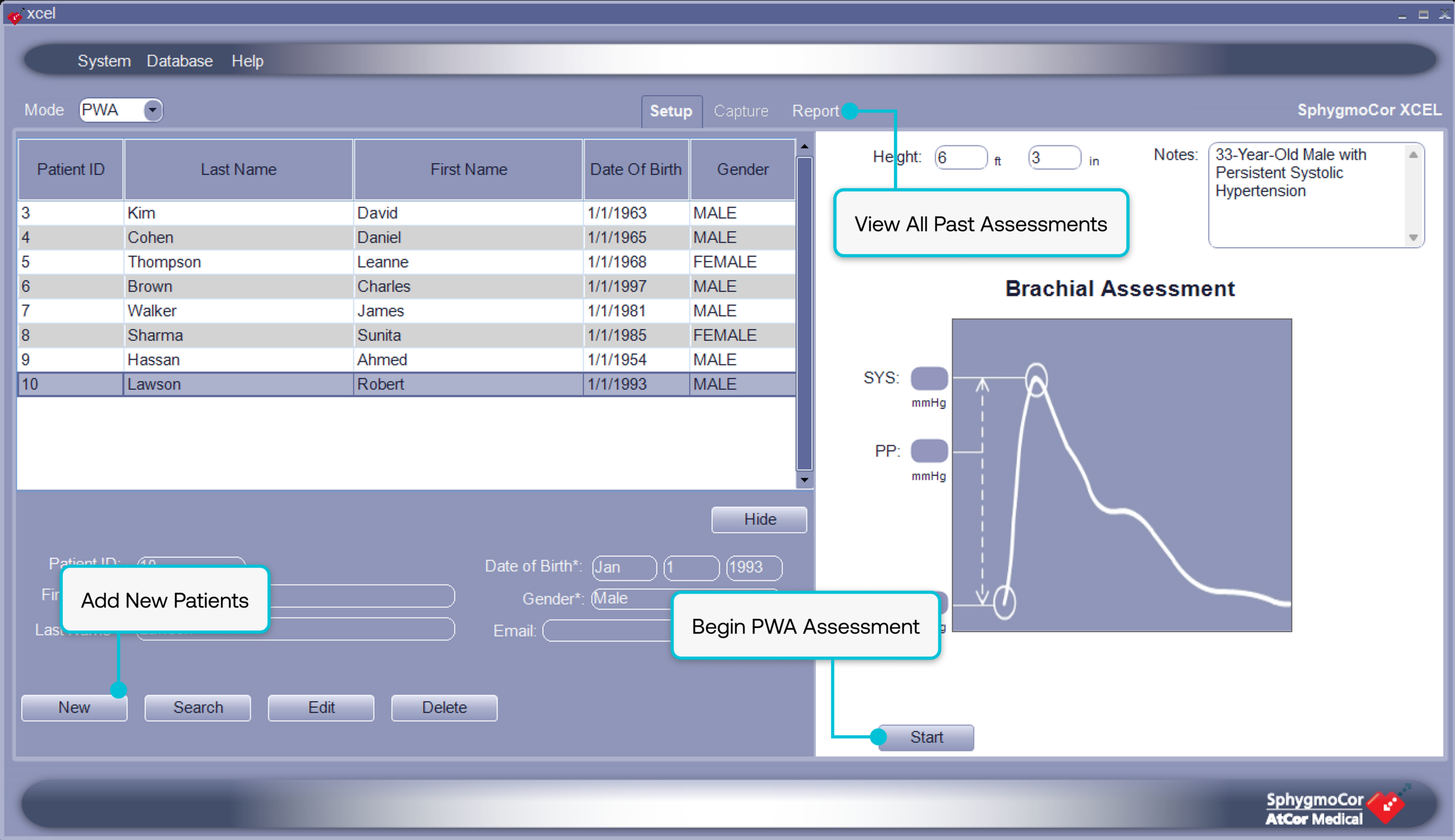 See Arterial Health Assessment in Action
